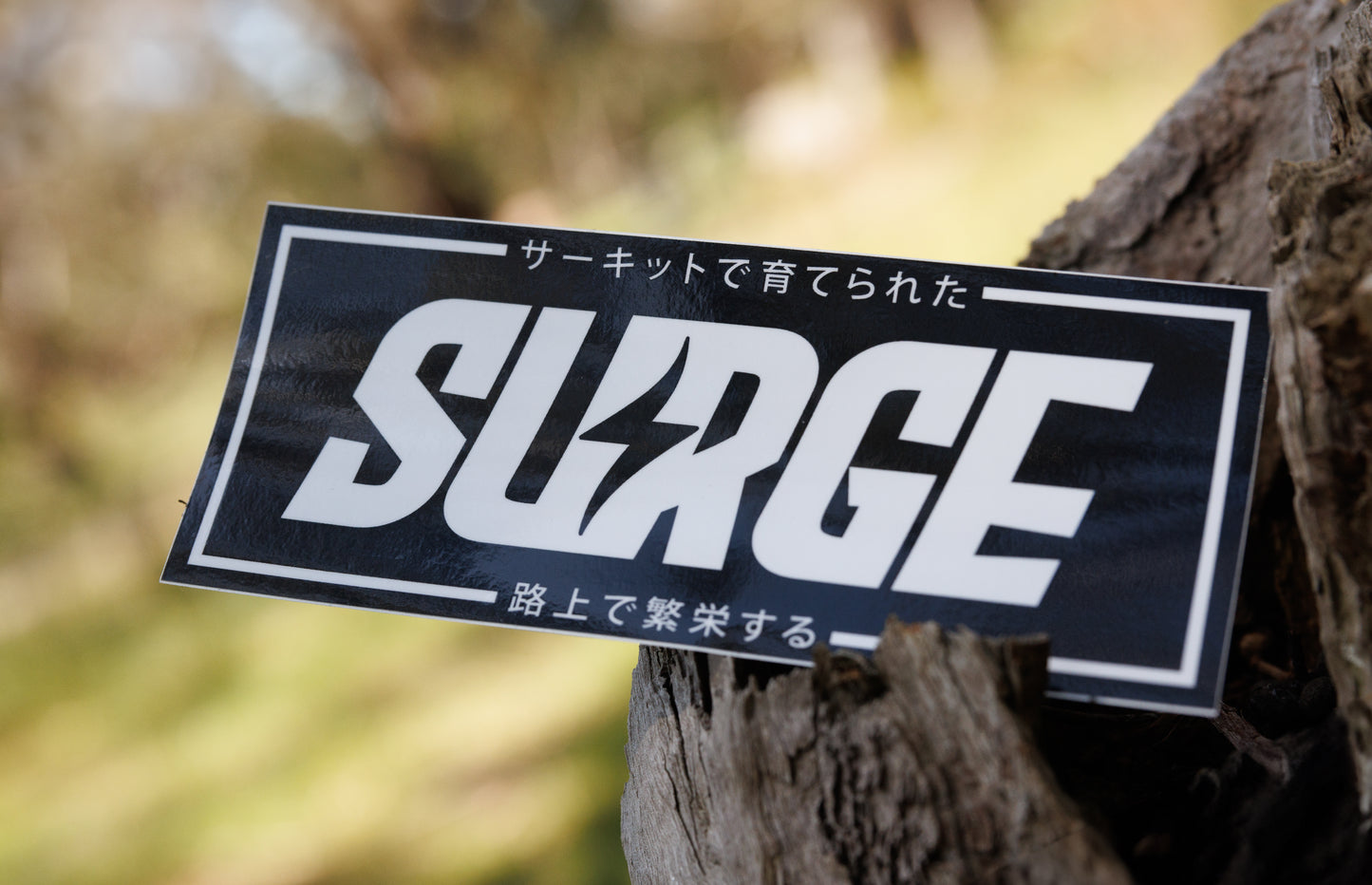 Surge Slap Sticker